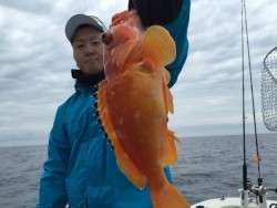 オーシャンキッズ 釣果