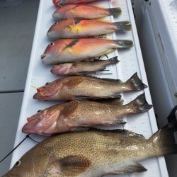 オーシャンキッズ 釣果