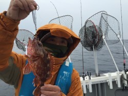 オーシャンキッズ 釣果