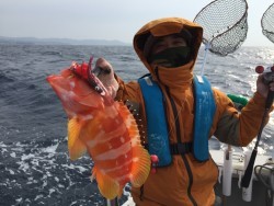 オーシャンキッズ 釣果