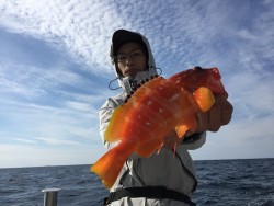 オーシャンキッズ 釣果