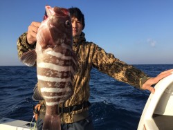 オーシャンキッズ 釣果