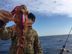 オーシャンキッズ 釣果