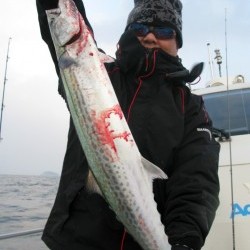 Aquanaut（アクアノート） 釣果