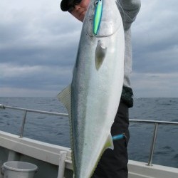 Aquanaut（アクアノート） 釣果