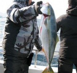 Aquanaut（アクアノート） 釣果