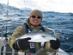 Aquanaut（アクアノート） 釣果