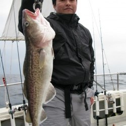 Aquanaut（アクアノート） 釣果