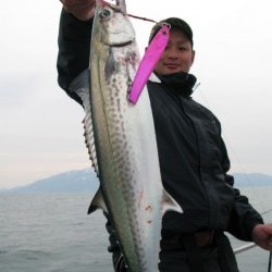 Aquanaut（アクアノート） 釣果