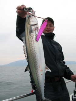 Aquanaut（アクアノート） 釣果