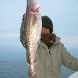 Aquanaut（アクアノート） 釣果