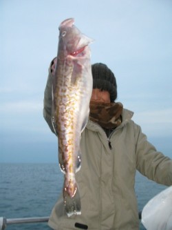 Aquanaut（アクアノート） 釣果