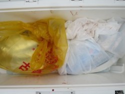 アジアマリンサービス 釣果