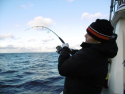 ハピネスⅡ 釣果