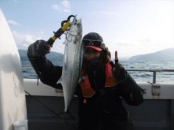 ハピネスⅡ 釣果