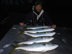 ハピネスⅡ 釣果