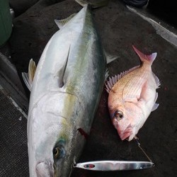 IZANAGI　イザナギ 釣果