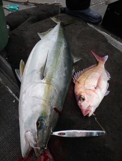 IZANAGI　イザナギ 釣果