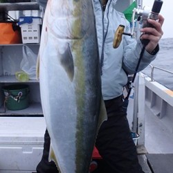 IZANAGI　イザナギ 釣果