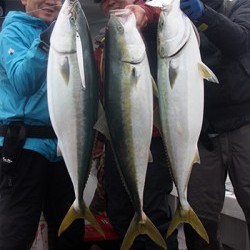 IZANAGI　イザナギ 釣果