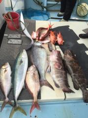 かいもん丸 釣果