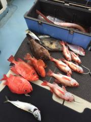 かいもん丸 釣果