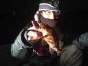 シーマジカル 釣果