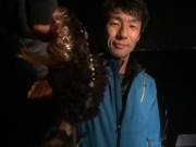 シーマジカル 釣果