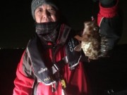 シーマジカル 釣果