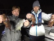 シーマジカル 釣果