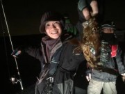 シーマジカル 釣果