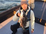 シーマジカル 釣果