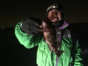 シーマジカル 釣果