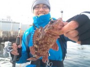 シーマジカル 釣果