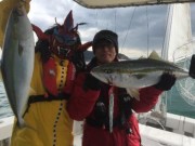 シーマジカル 釣果