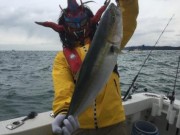 シーマジカル 釣果