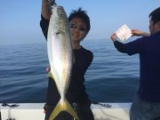 シーマジカル 釣果