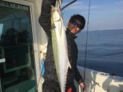 シーマジカル 釣果