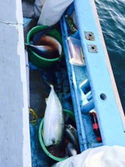 征海丸 釣果