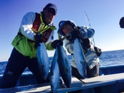 征海丸 釣果