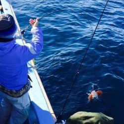 征海丸 釣果