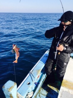 征海丸 釣果