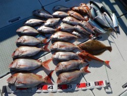ふじしめ丸 釣果
