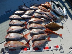 ふじしめ丸 釣果