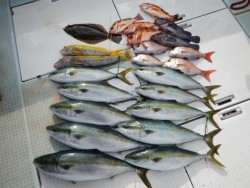 ふじしめ丸 釣果