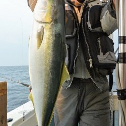 宝生丸 釣果