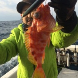 Blue.win 海人丸 釣果