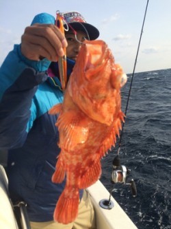 Blue.win 海人丸 釣果