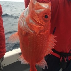 Blue.win 海人丸 釣果