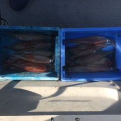 Blue.win 海人丸 釣果